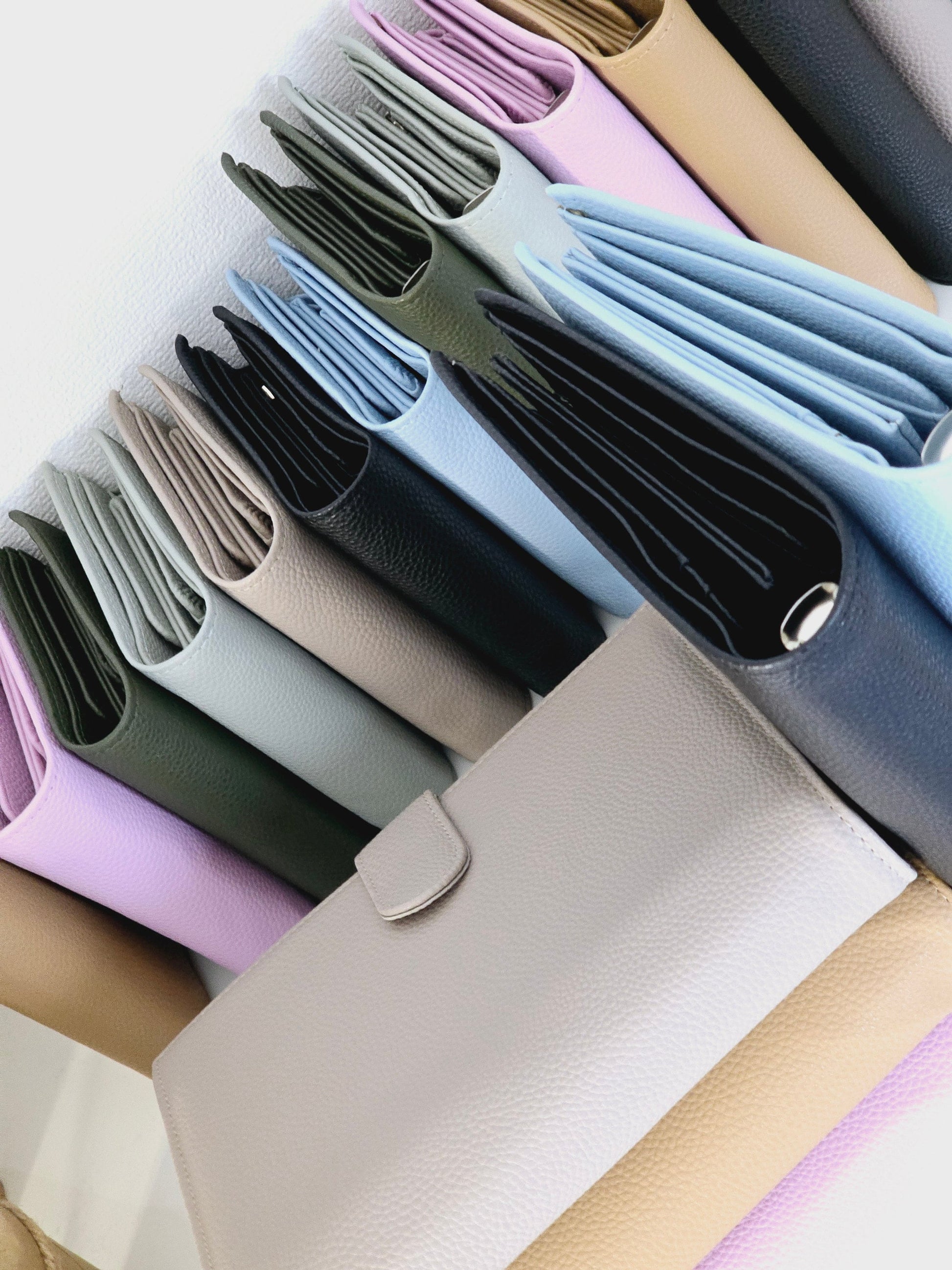 Deluxe Planer A5 in 5 Farben / Kalender / Budgetordner / Organizer / Ringbuch